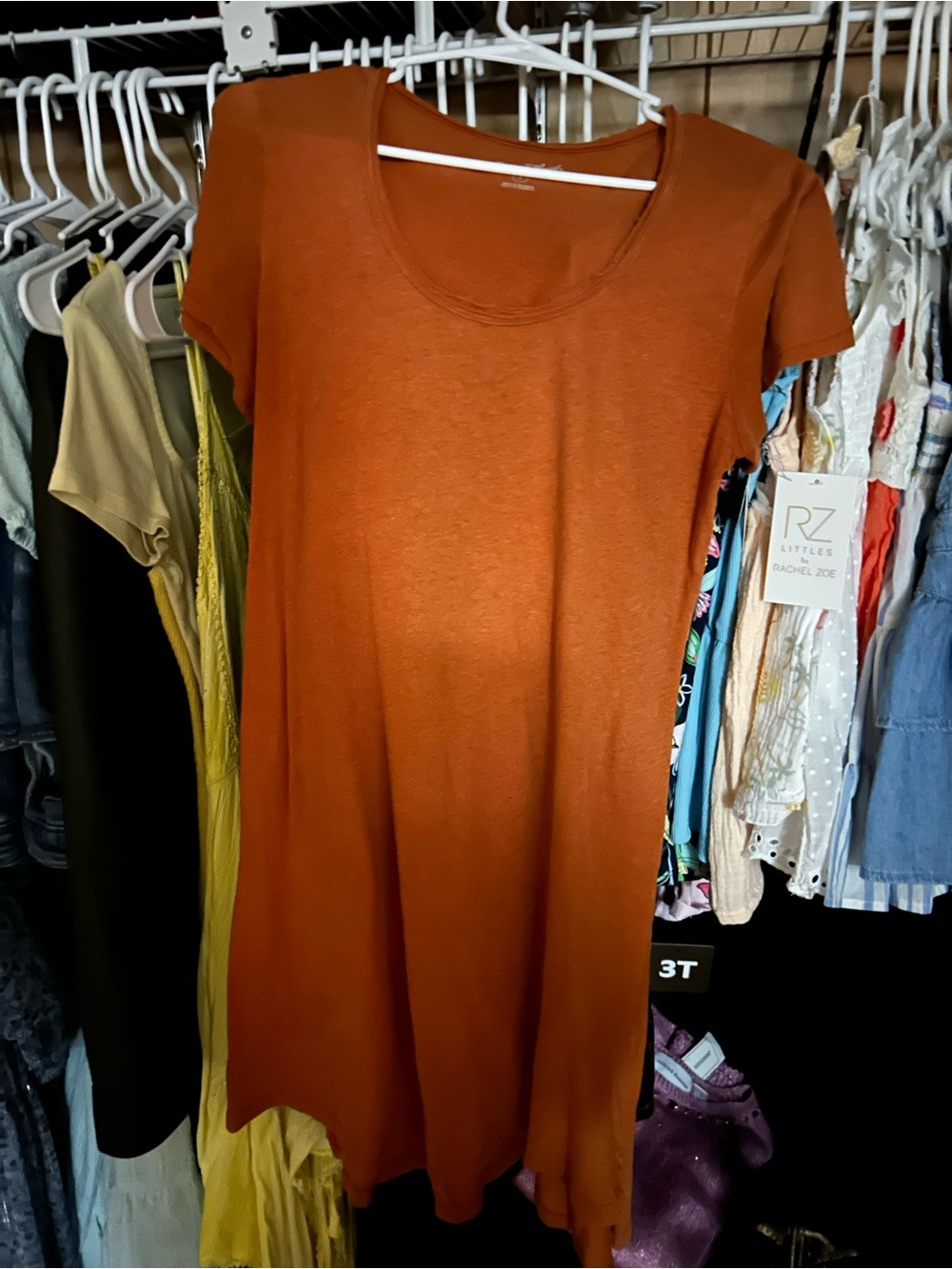 Casual Scoop Neck Rust Dress